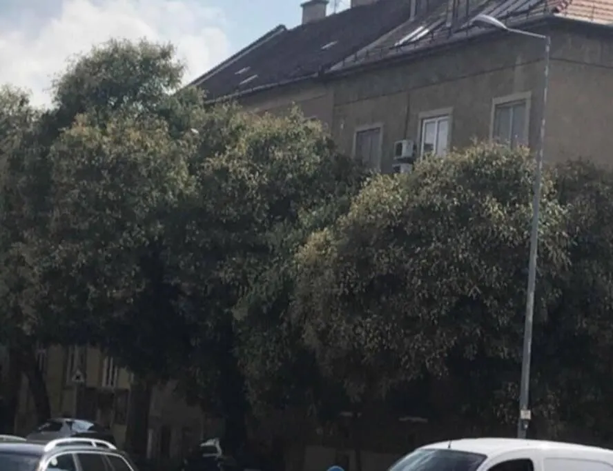 Single Sunny Mini Studio Flat Budapest Hungary